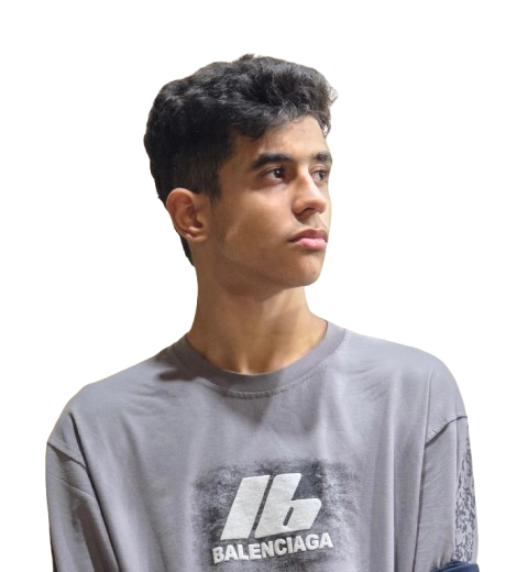 Parsa Shabani - programmer and developer